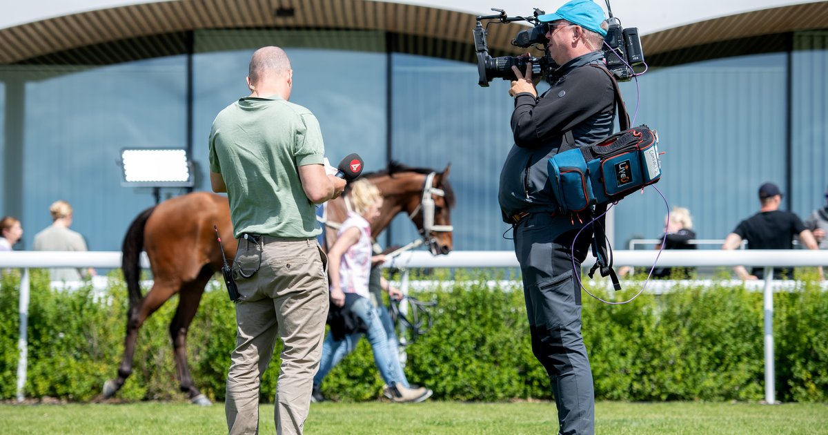 Bakom Kulisserna P Bro Park Den Augusti Svensk Galopp