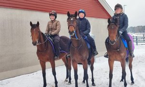 Annonsbild Alice Elmerskog IMG-20231209-WA0016