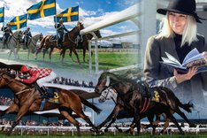 Annons_Stockholms Cup_19-6_20232