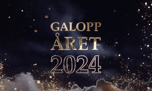 Galoppåret 2024