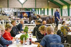 Scandinavian Open Yearling Sale 2023_DSC7928