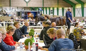 Scandinavian Open Yearling Sale 2023_DSC7928