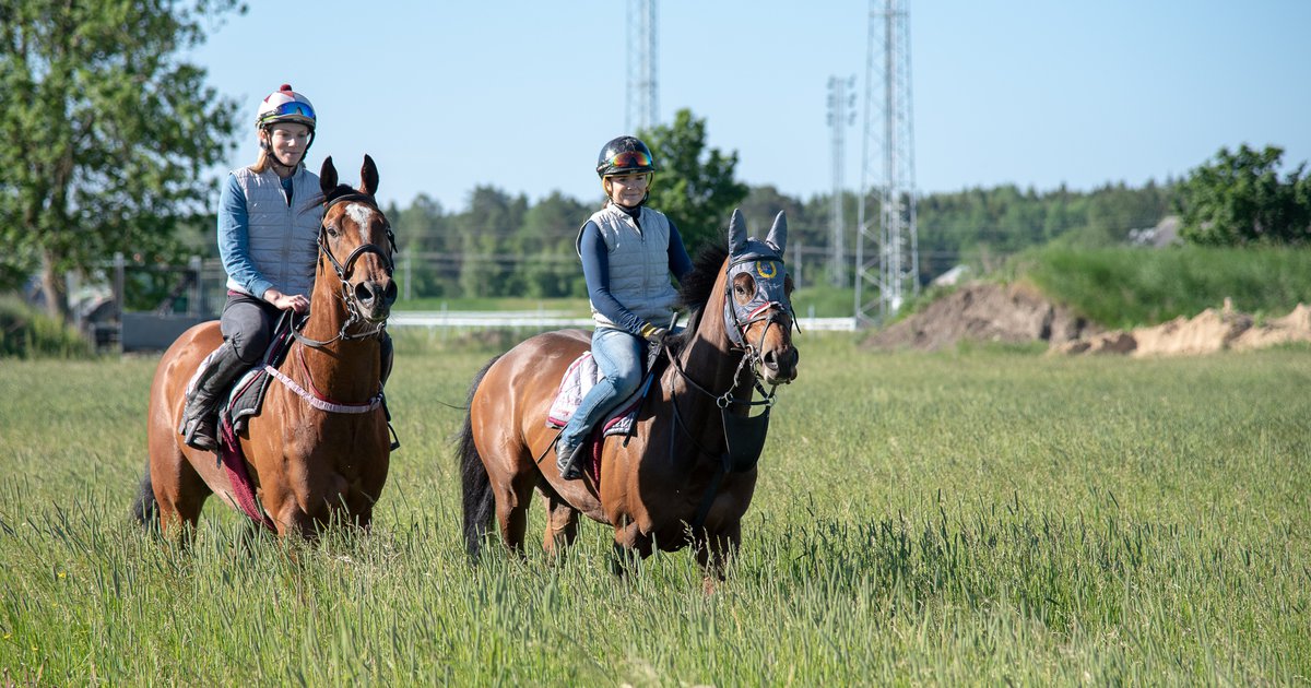 Är du 2535 år? Missa inte att söka till ATG Talang Svensk Galopp