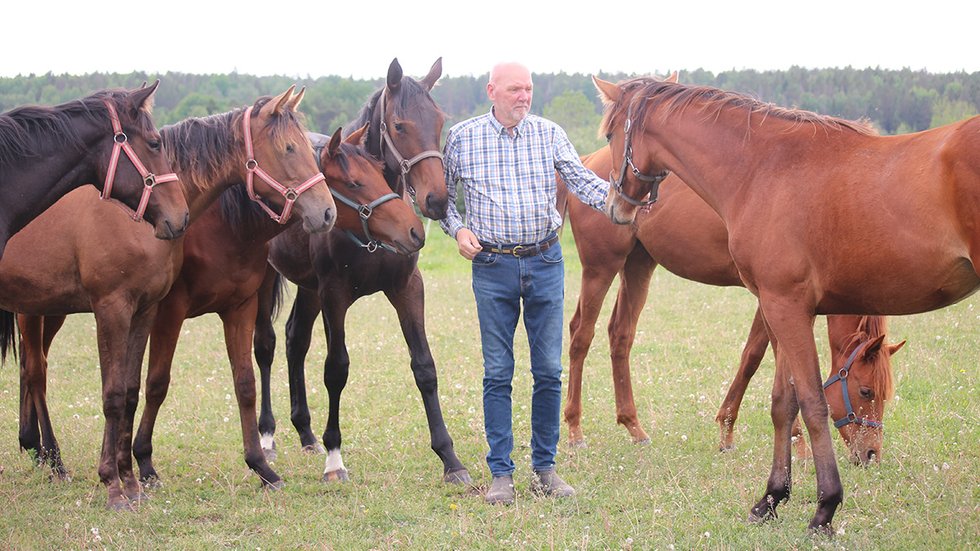 Ivan Sjöberg med hästar TOP 2